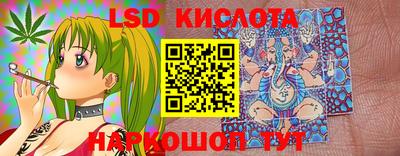 хмурый Кингисепп