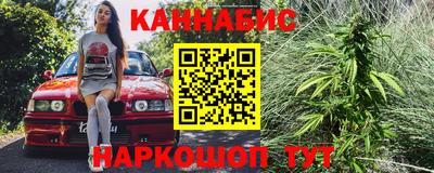 хмурый Кингисепп