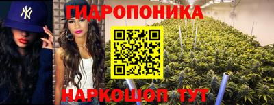 хмурый Кингисепп
