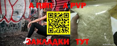 хмурый Кингисепп