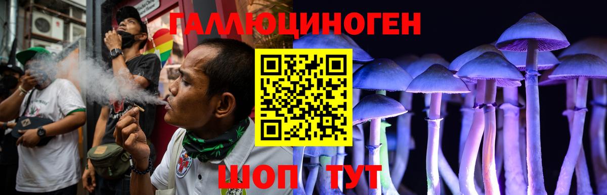 Куйбышев  Галлюциногенные грибы Psilocybe  Вход с VPN 